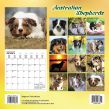 kalender shepherd 2017.jpg